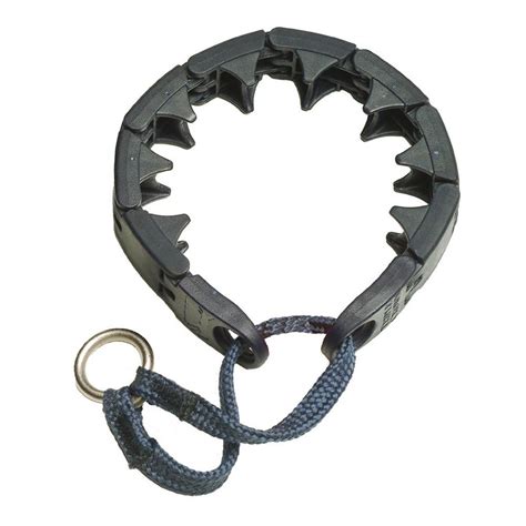 plastic prong collar for dogs.